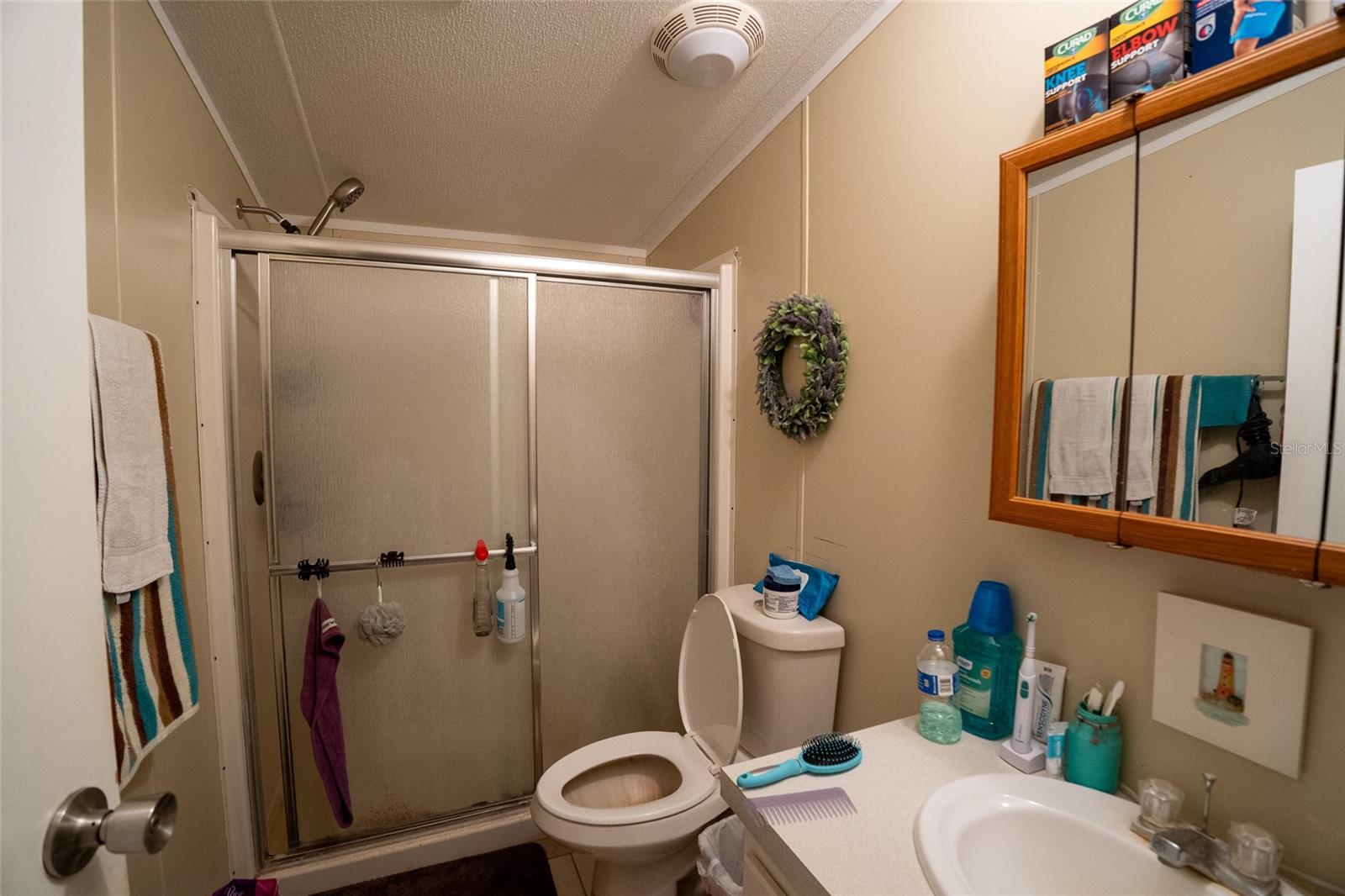 1809 E HOLIDAY DR, LORIDA, FL, 33857