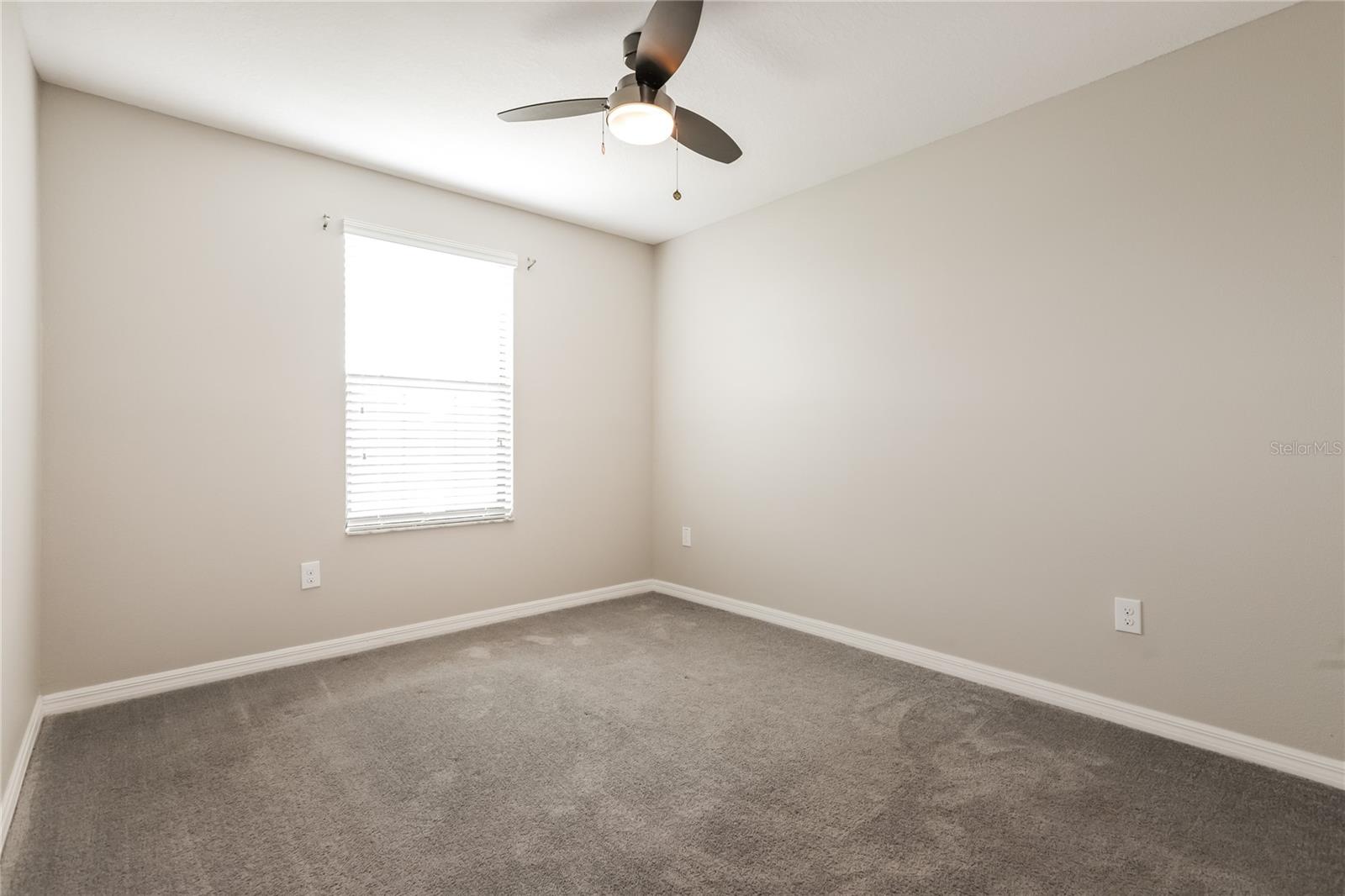13924 ARBOR PINES DR, RIVERVIEW, FL, 33579