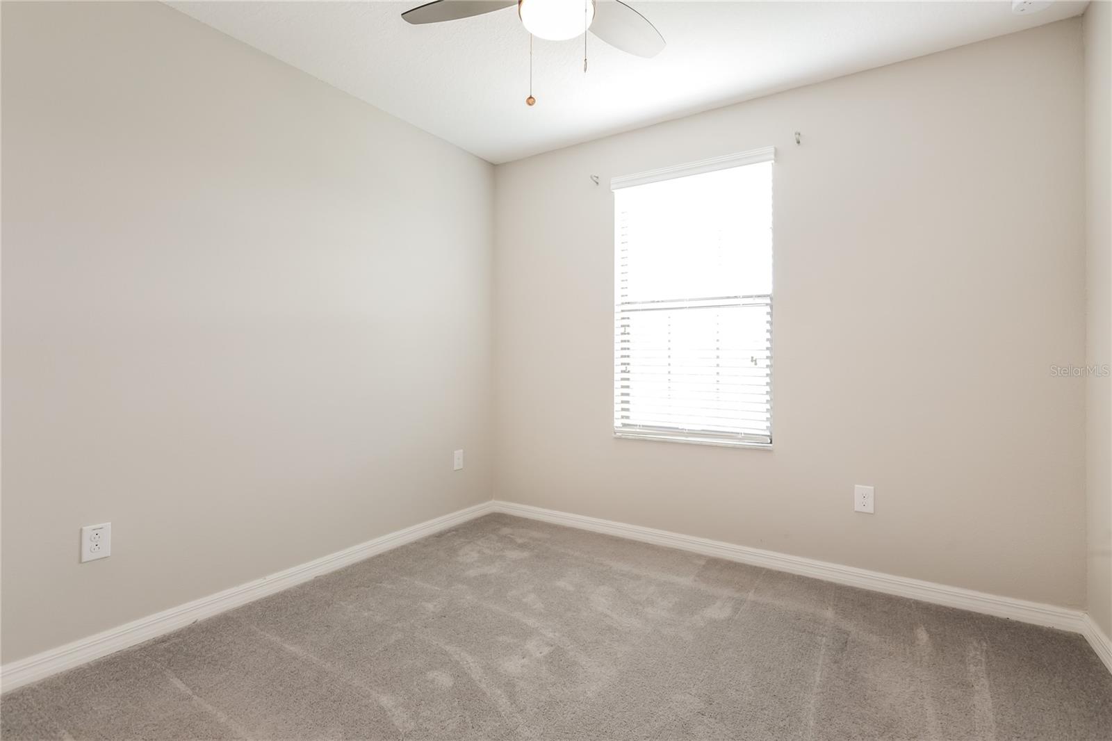 13924 ARBOR PINES DR, RIVERVIEW, FL, 33579