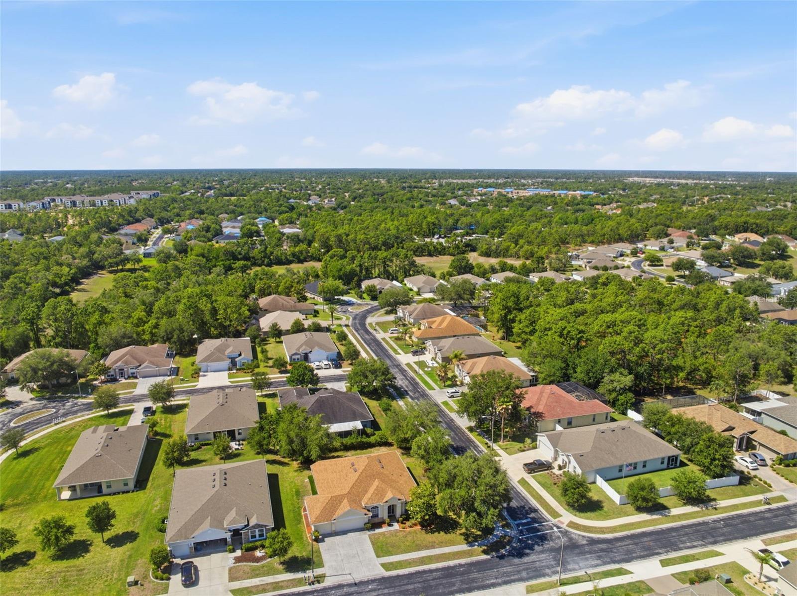 13776 BLYTHEWOOD DR, SPRING HILL, FL, 34609