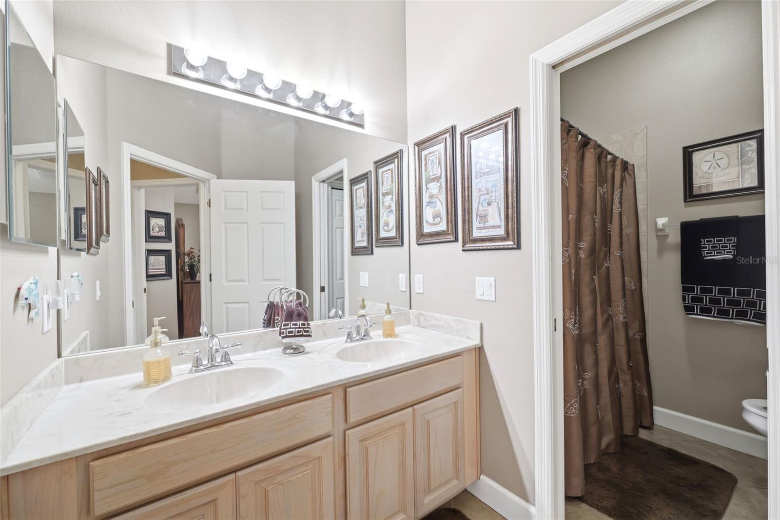 13776 BLYTHEWOOD DR, SPRING HILL, FL, 34609