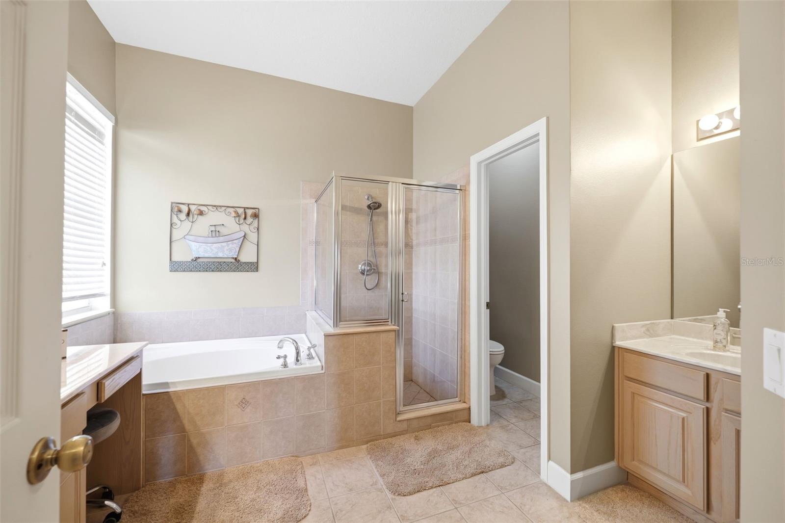 13776 BLYTHEWOOD DR, SPRING HILL, FL, 34609
