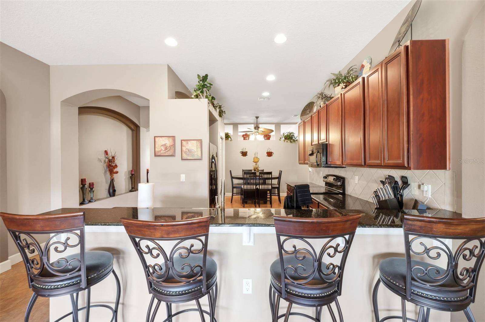 13776 BLYTHEWOOD DR, SPRING HILL, FL, 34609