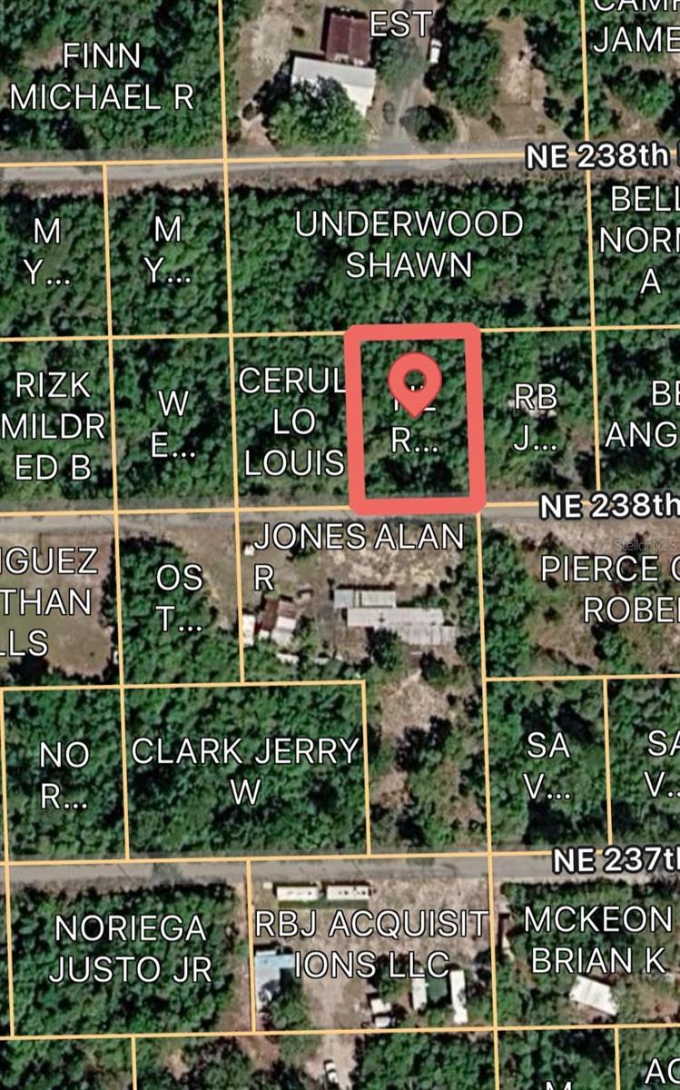 15589 NE 238TH ST, FORT MC COY, FL, 32134
