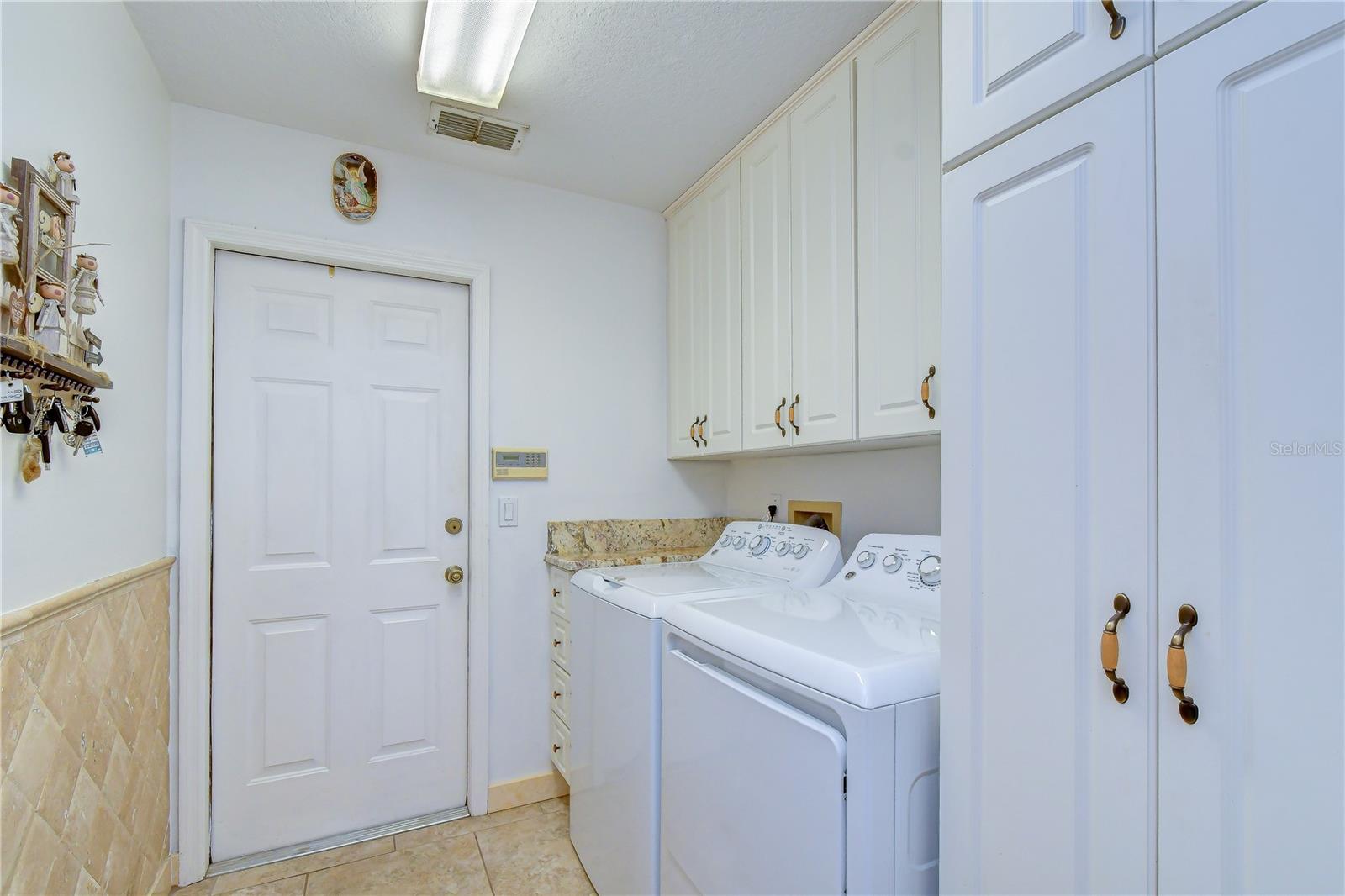 3810 TURKEY OAK DR, VALRICO, FL, 33596
