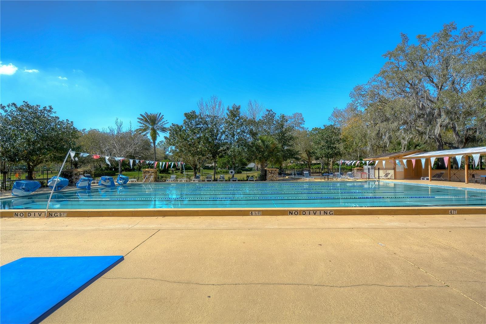 3810 TURKEY OAK DR, VALRICO, FL, 33596