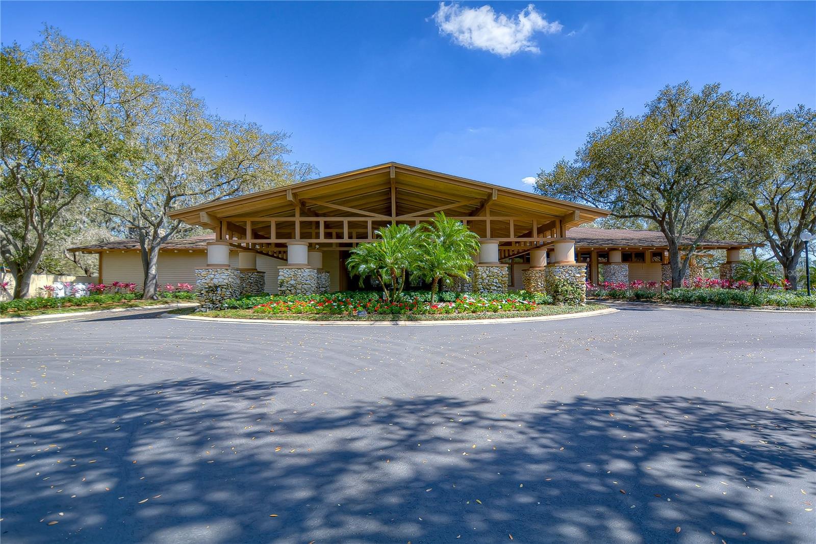 3810 TURKEY OAK DR, VALRICO, FL, 33596