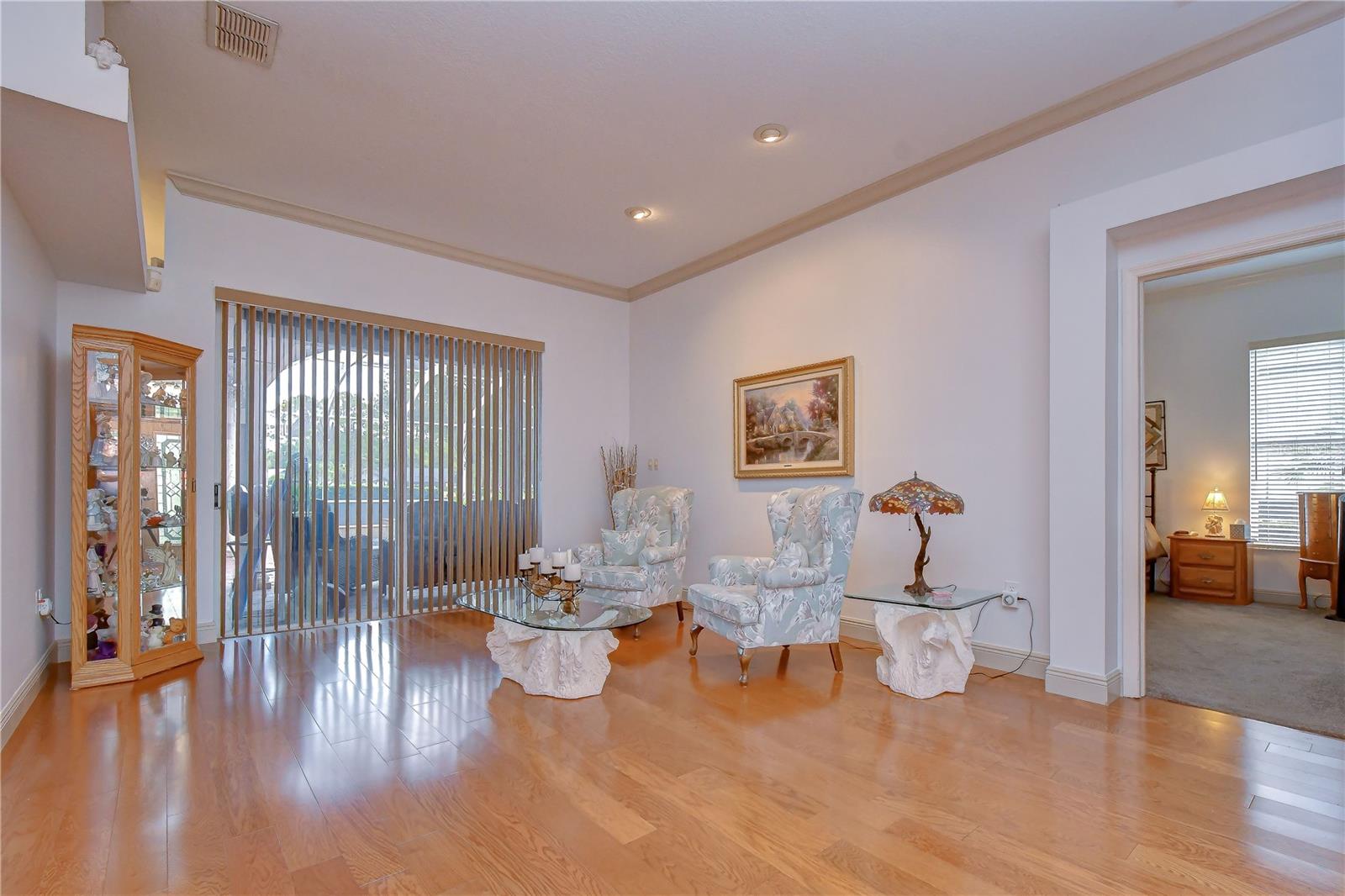 3810 TURKEY OAK DR, VALRICO, FL, 33596