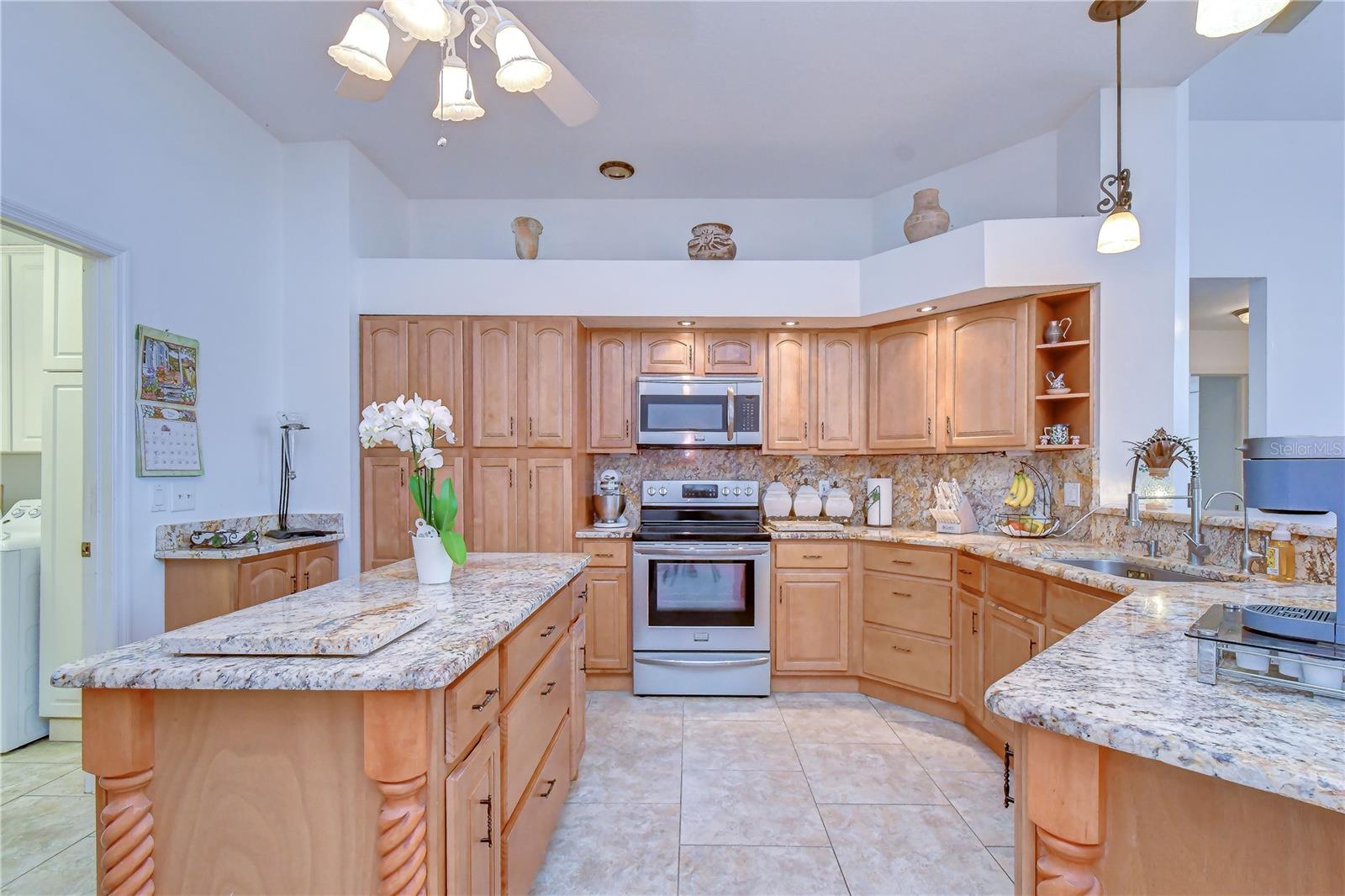 3810 TURKEY OAK DR, VALRICO, FL, 33596