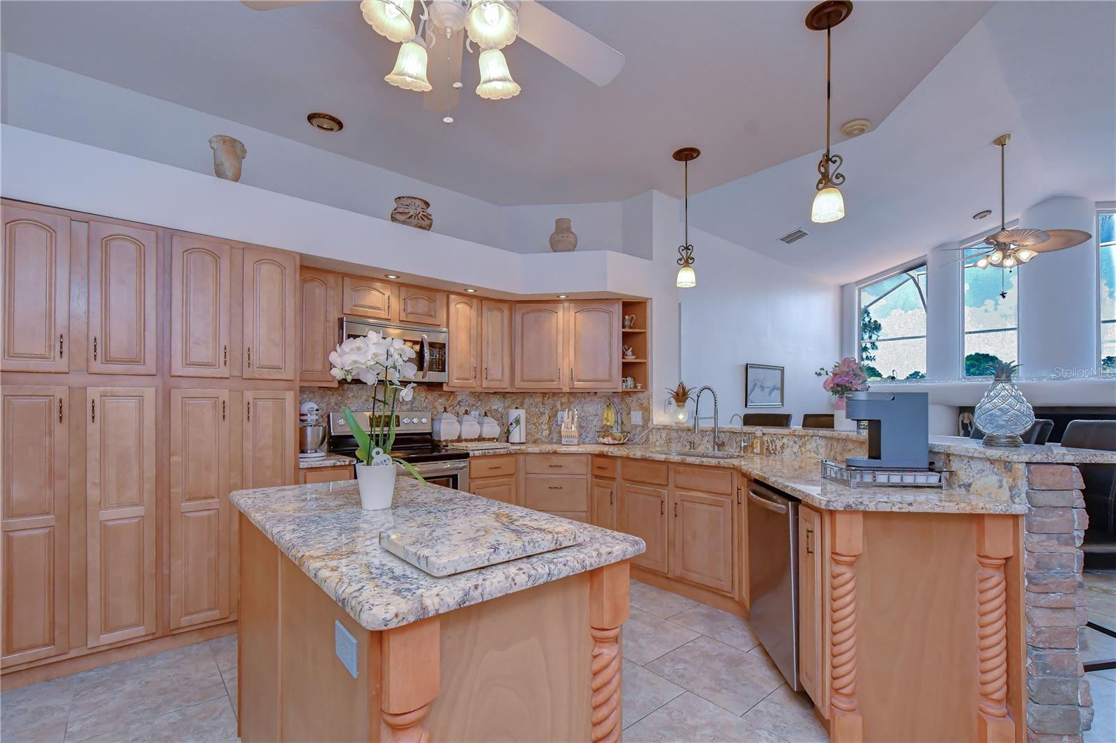 3810 TURKEY OAK DR, VALRICO, FL, 33596