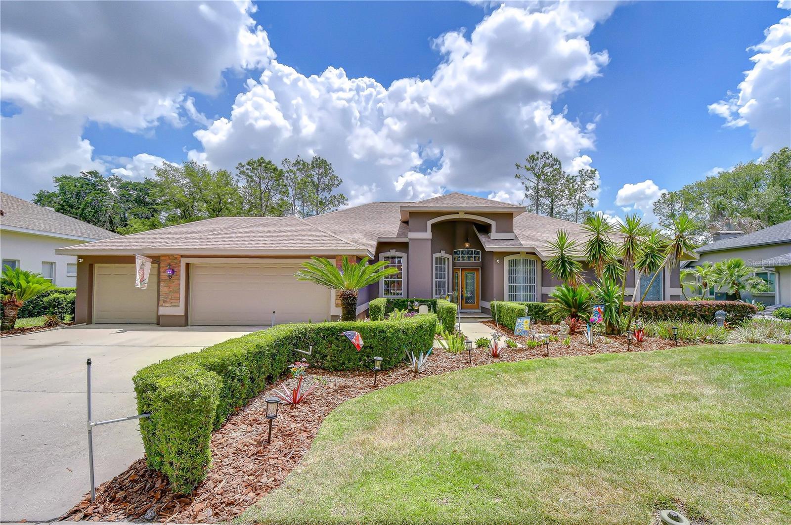 3810 TURKEY OAK DR, VALRICO, FL, 33596