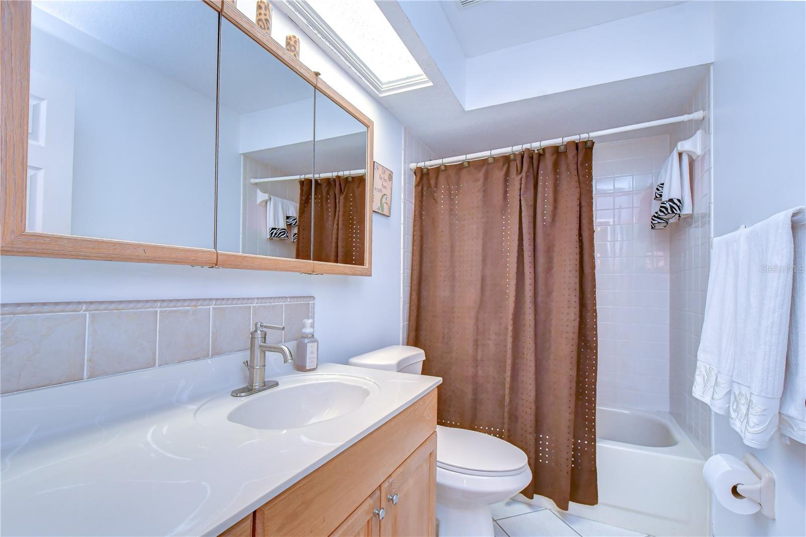3810 TURKEY OAK DR, VALRICO, FL, 33596