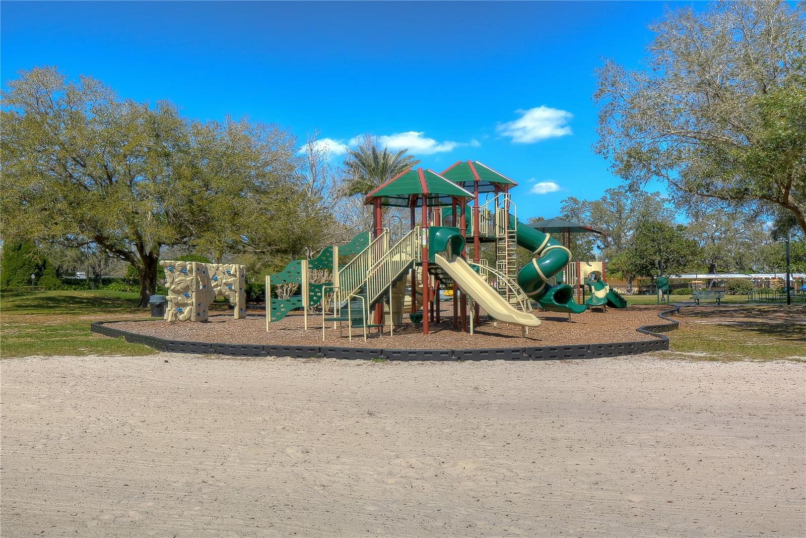 3810 TURKEY OAK DR, VALRICO, FL, 33596