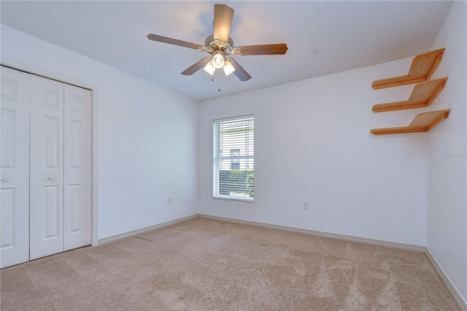3810 TURKEY OAK DR, VALRICO, FL, 33596