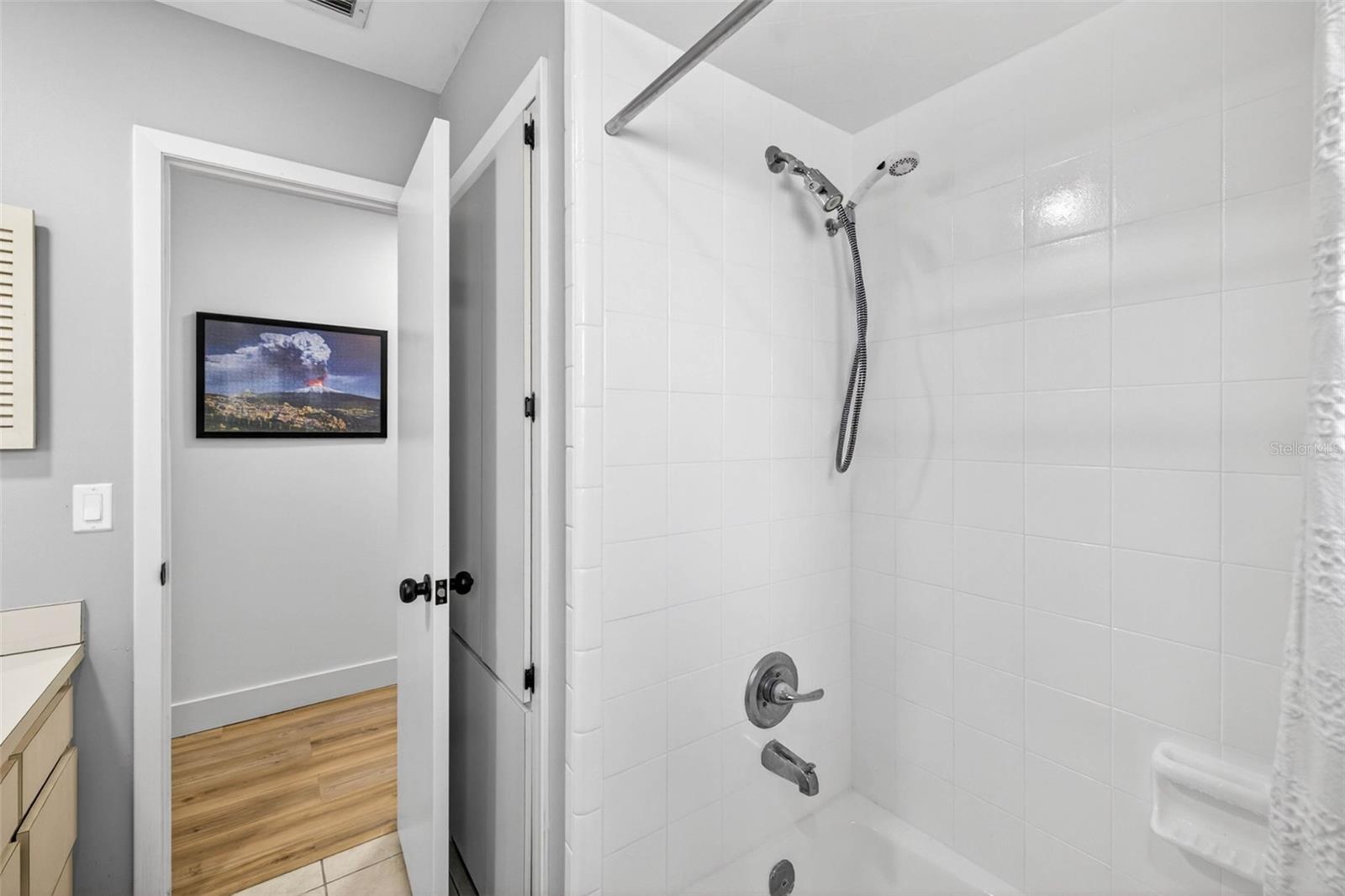 11004 THERESA ARBOR DR, TEMPLE TERRACE, FL, 33617