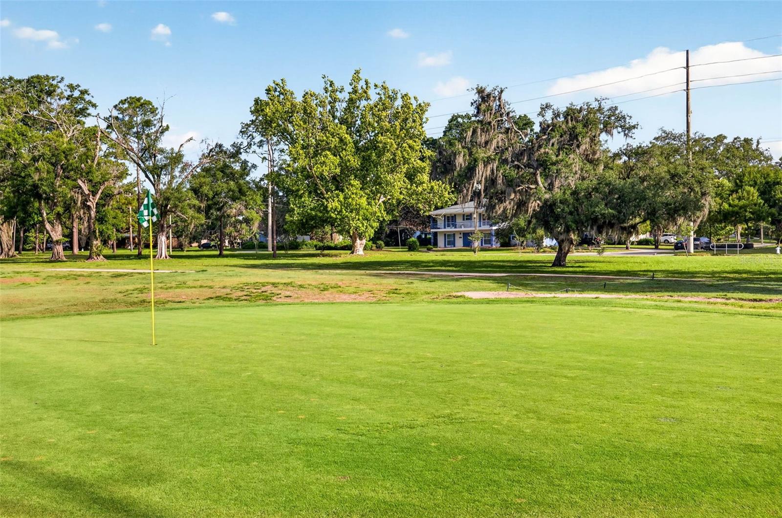 11004 THERESA ARBOR DR, TEMPLE TERRACE, FL, 33617