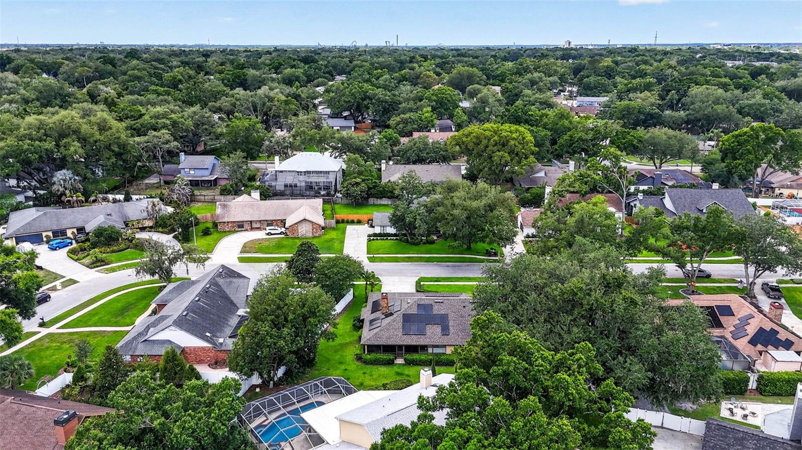 11004 THERESA ARBOR DR, TEMPLE TERRACE, FL, 33617