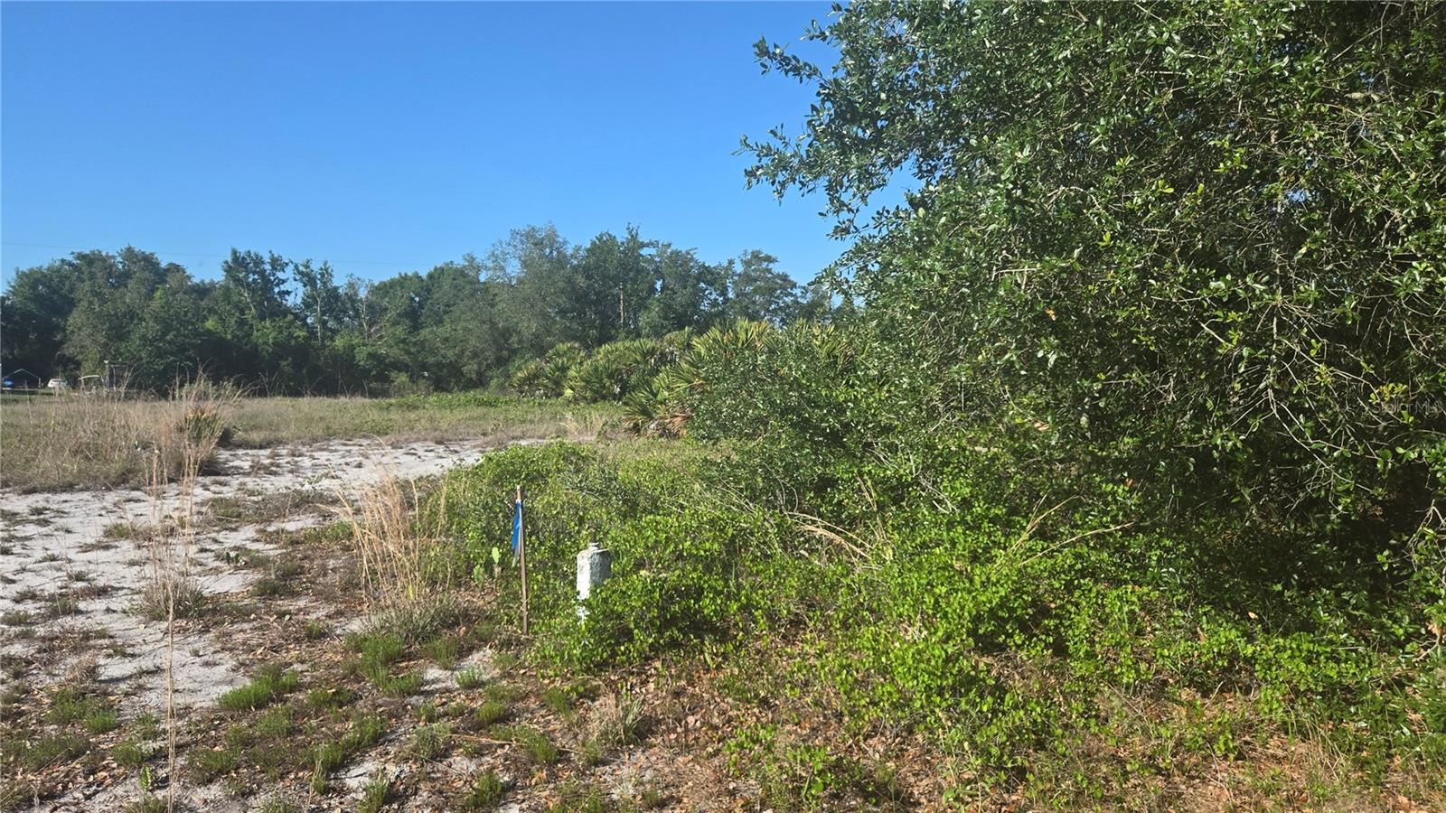 2643 W BANDRA RD, AVON PARK, FL, 33825