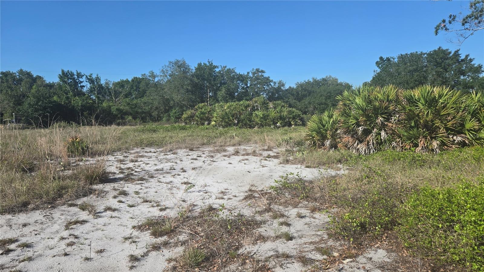 2643 W BANDRA RD, AVON PARK, FL, 33825