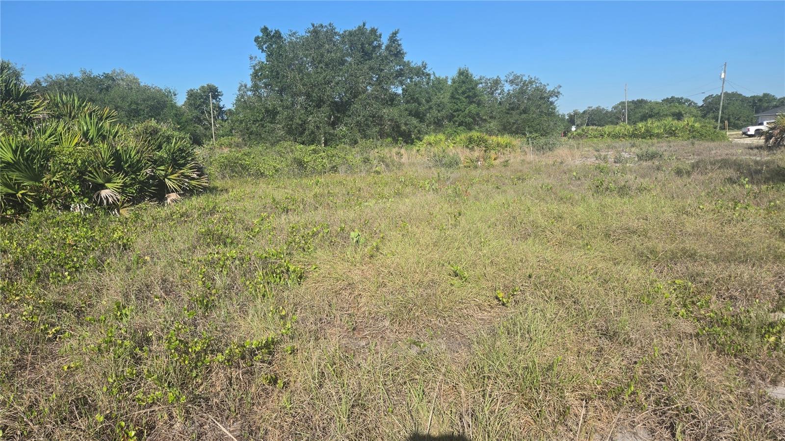 2643 W BANDRA RD, AVON PARK, FL, 33825