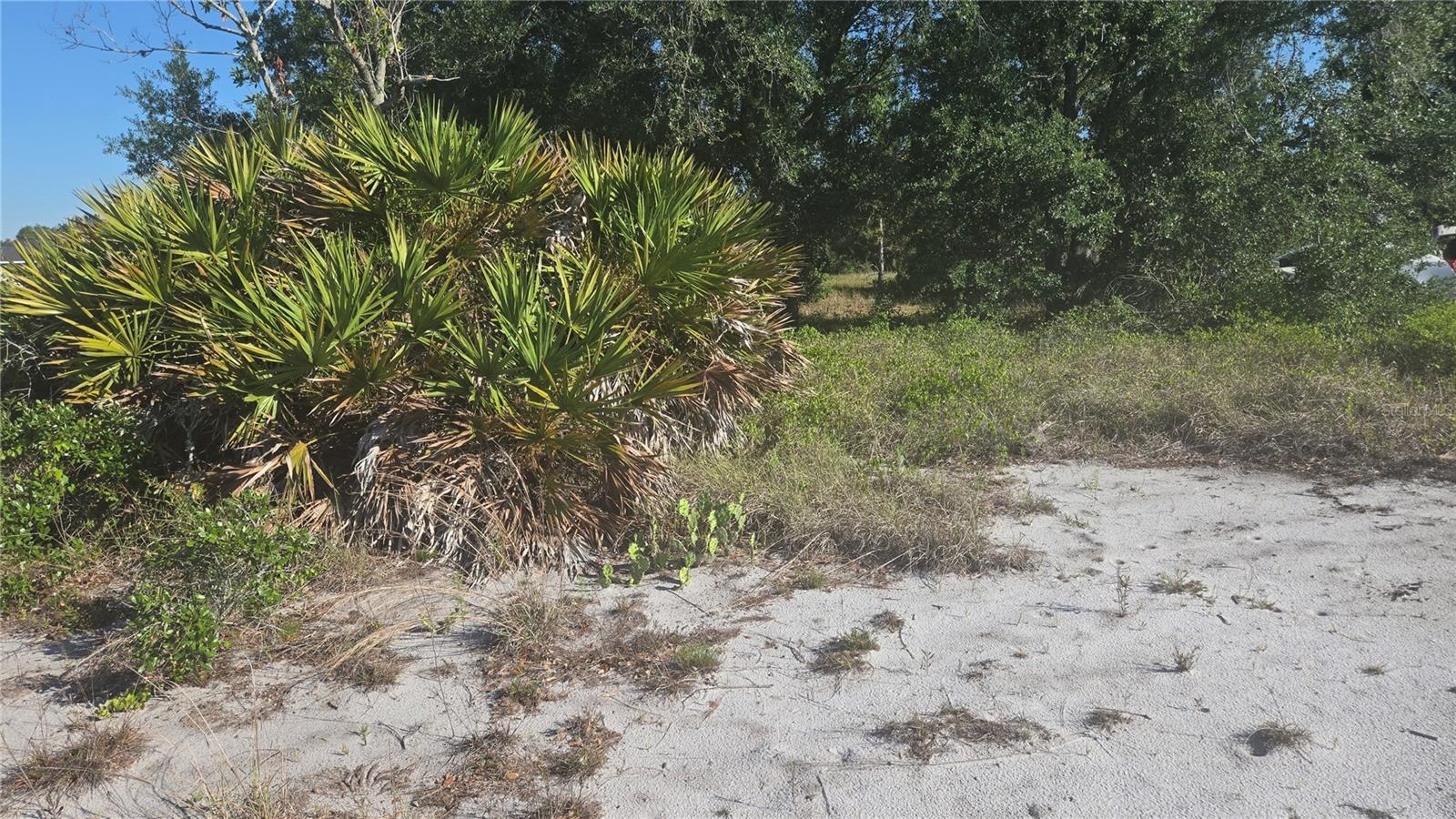2643 W BANDRA RD, AVON PARK, FL, 33825