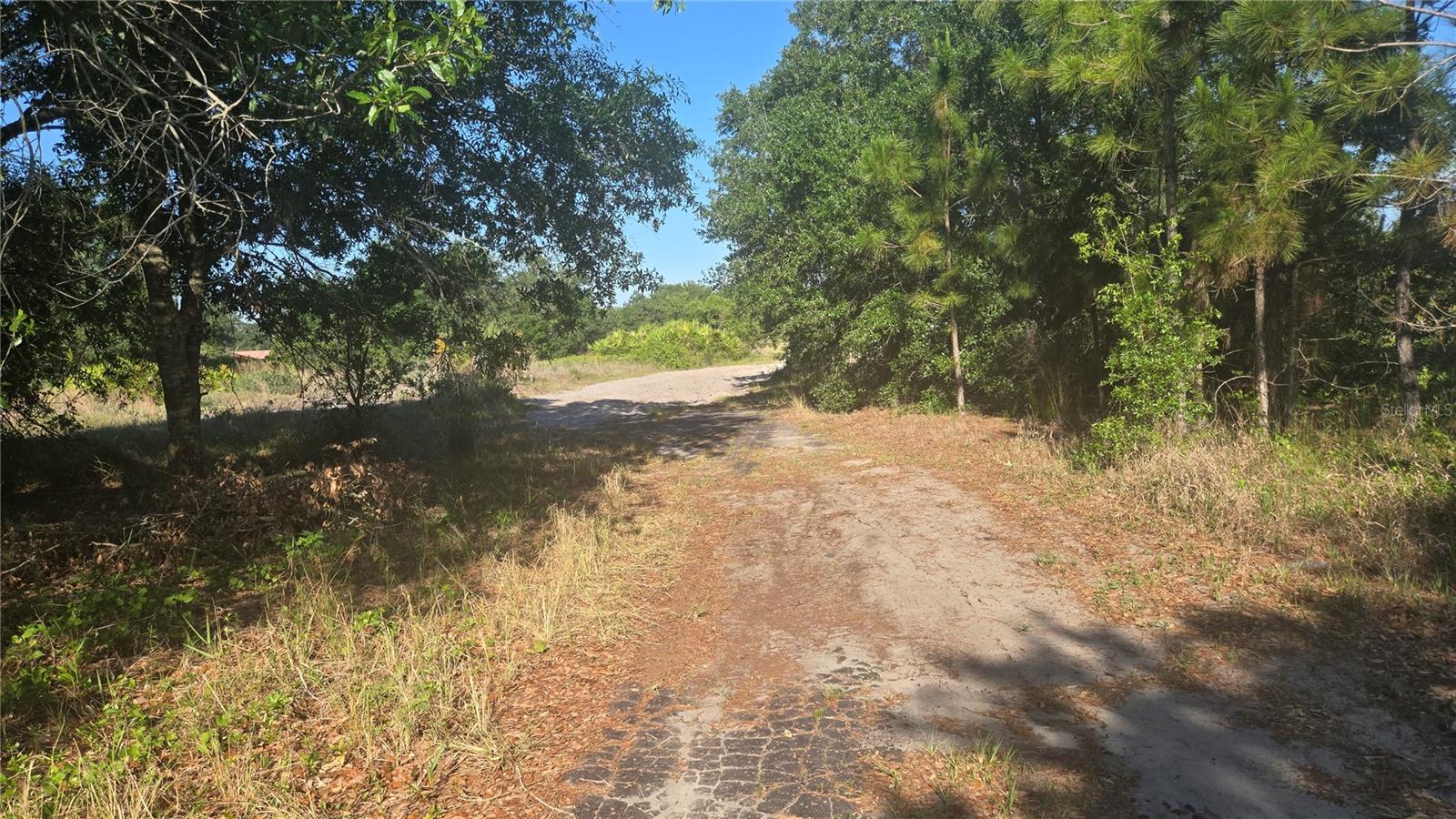 2643 W BANDRA RD, AVON PARK, FL, 33825