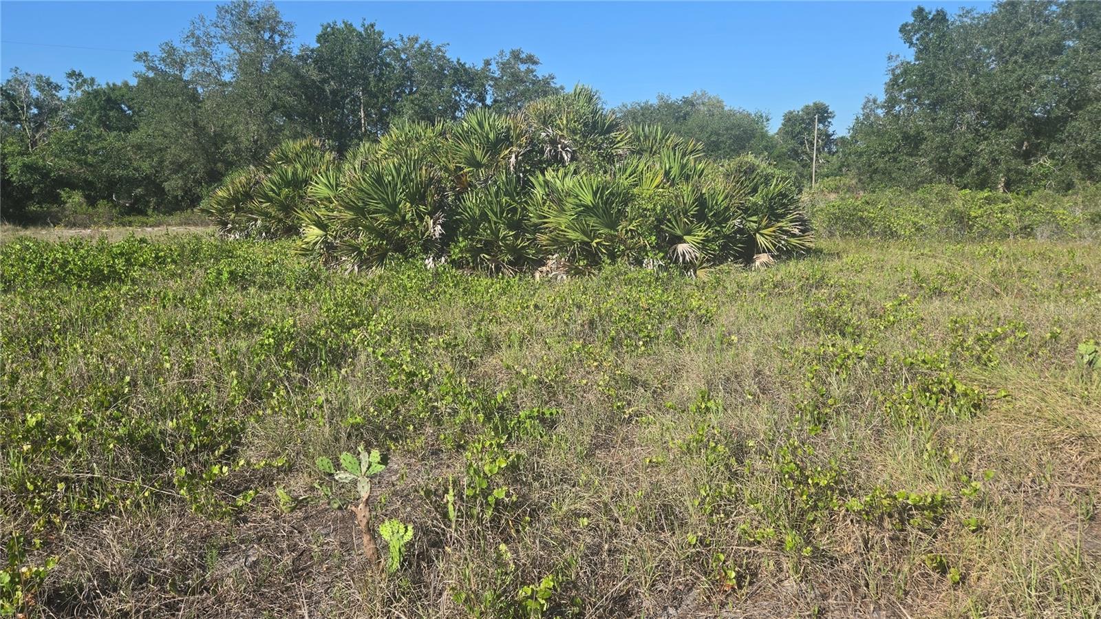 2643 W BANDRA RD, AVON PARK, FL, 33825