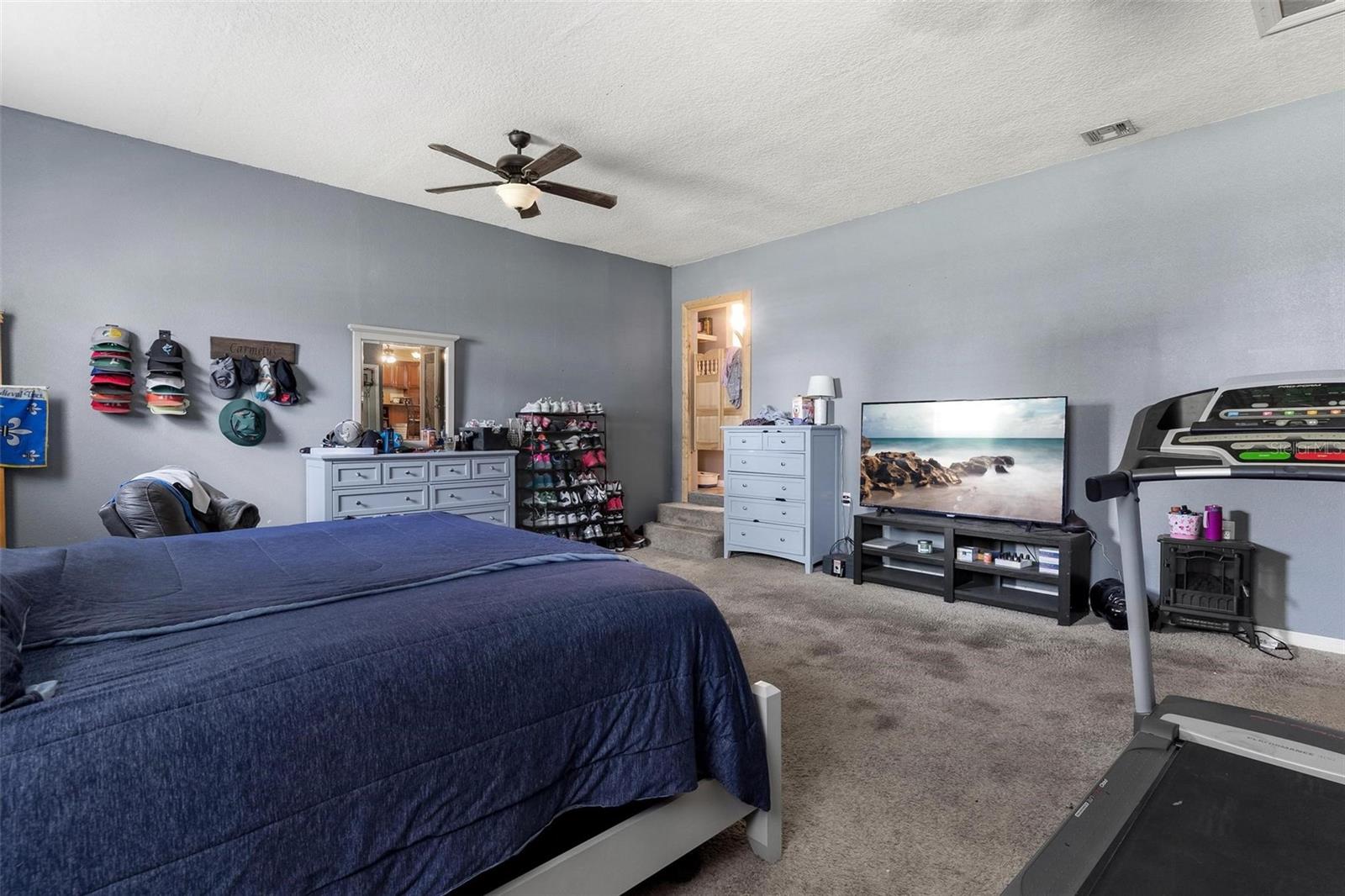 14407 LAKE JUNIETTA DR, TAVARES, FL, 32778