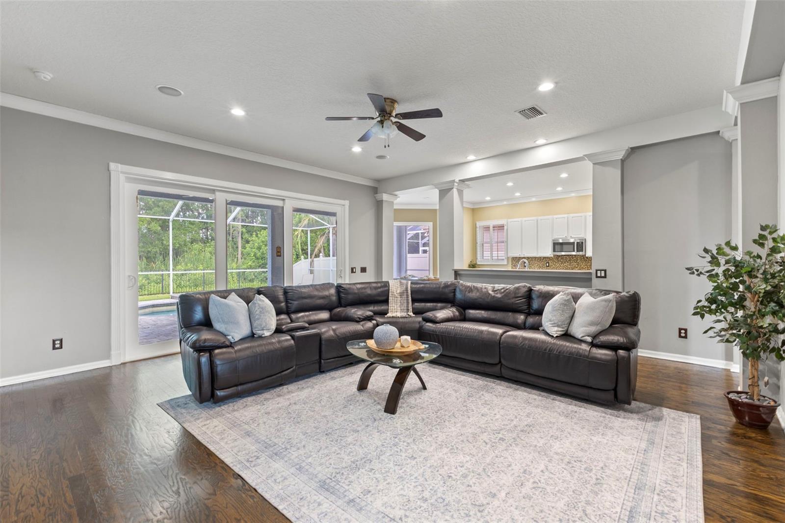 11621 RENAISSANCE VIEW CT, TAMPA, FL, 33626