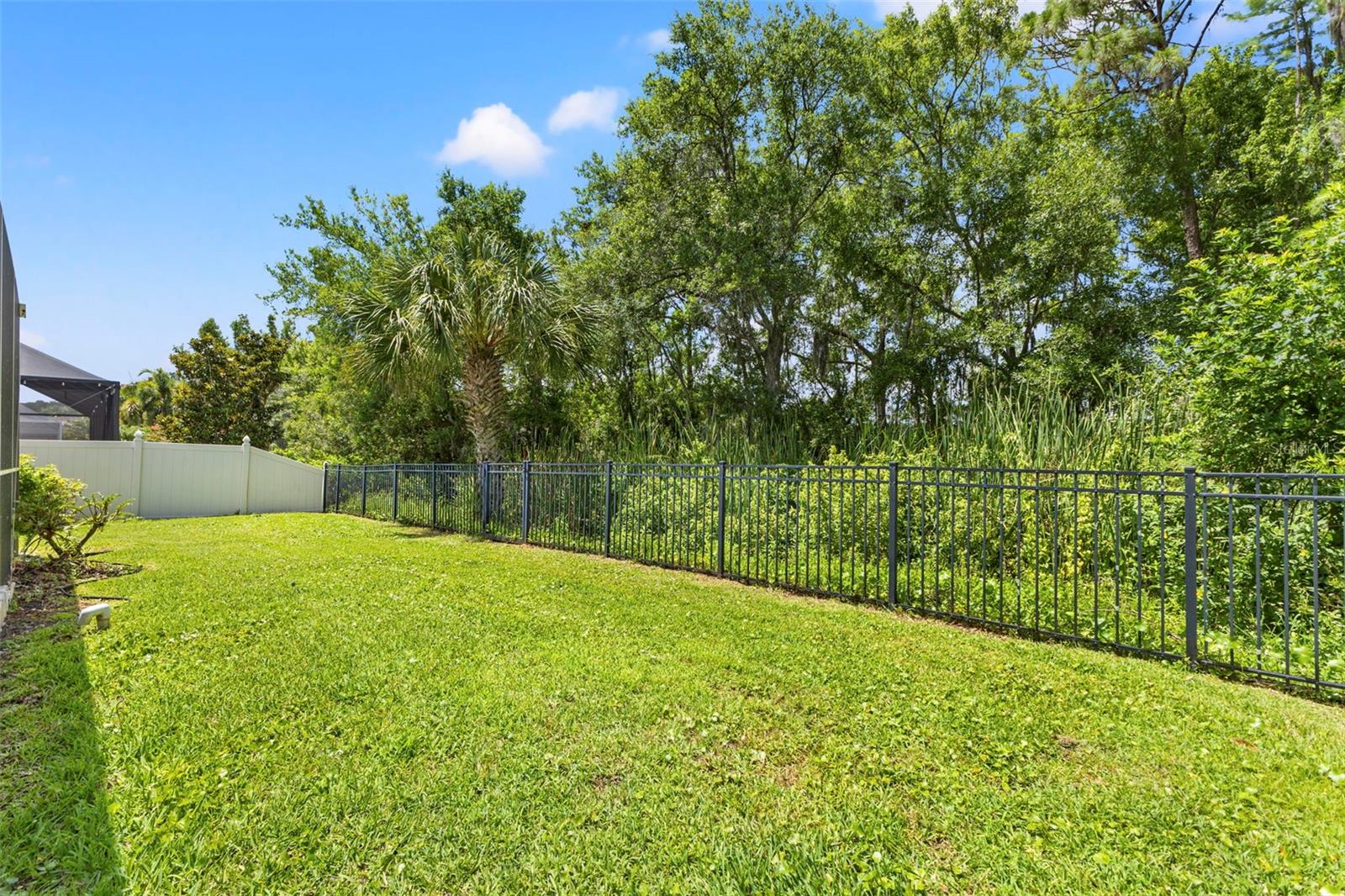 11621 RENAISSANCE VIEW CT, TAMPA, FL, 33626