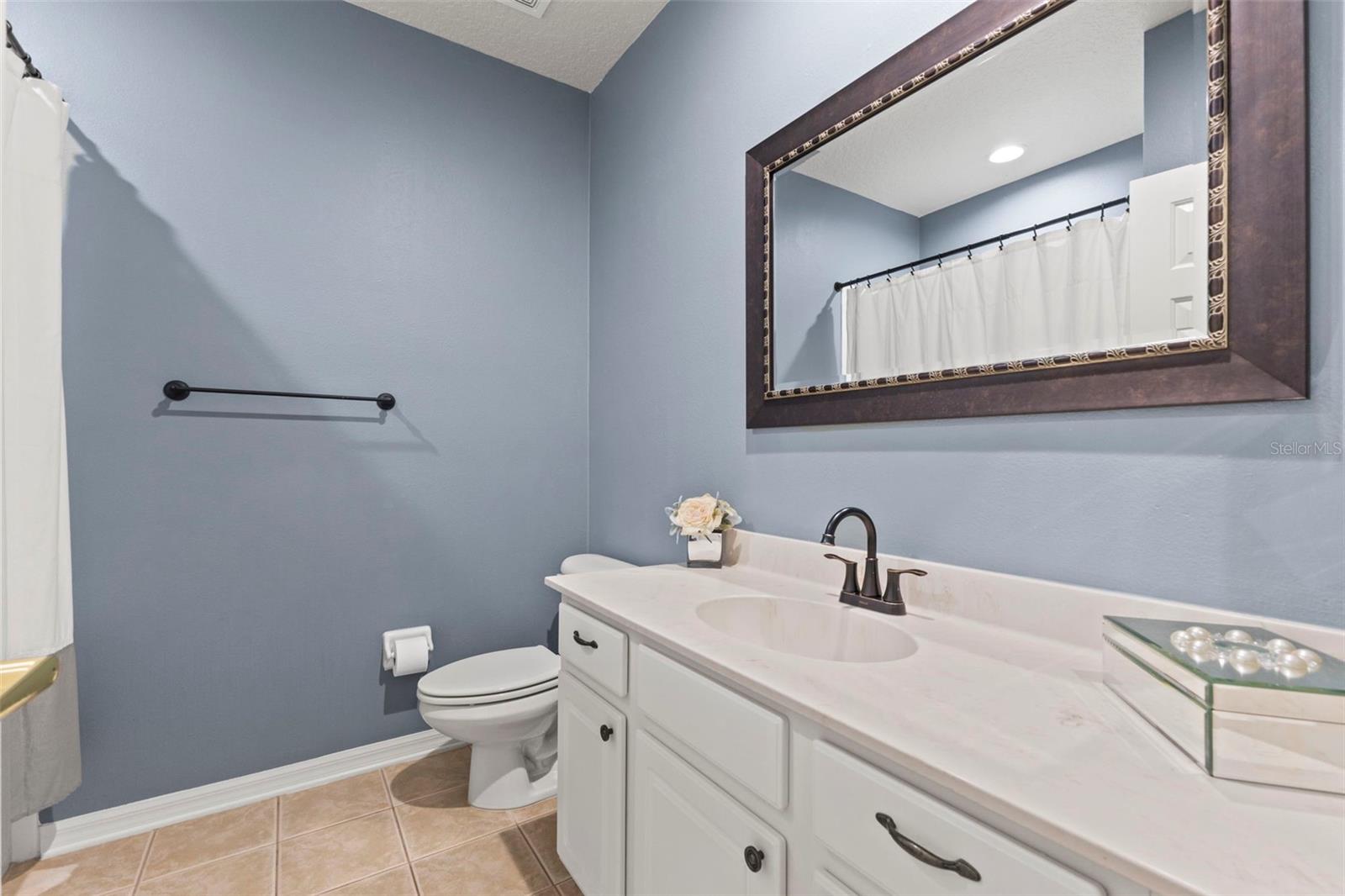 11621 RENAISSANCE VIEW CT, TAMPA, FL, 33626