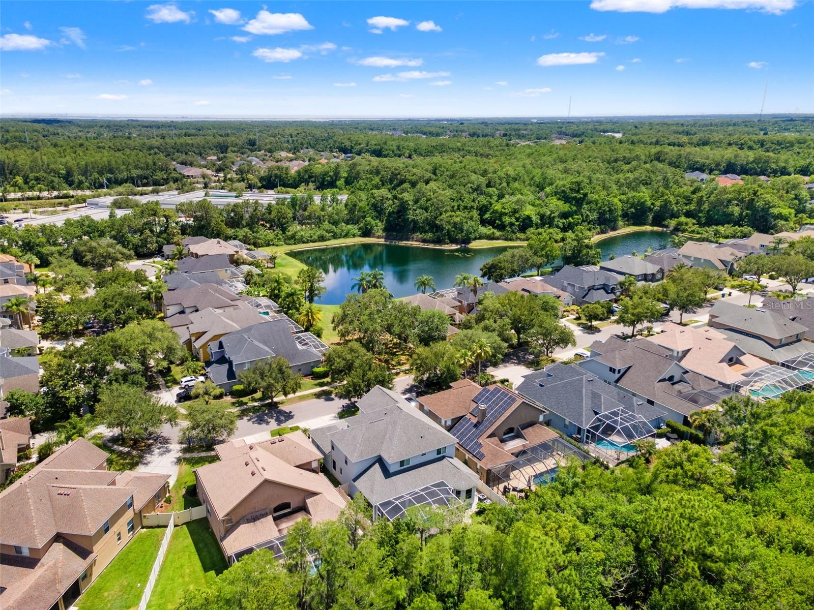 11621 RENAISSANCE VIEW CT, TAMPA, FL, 33626