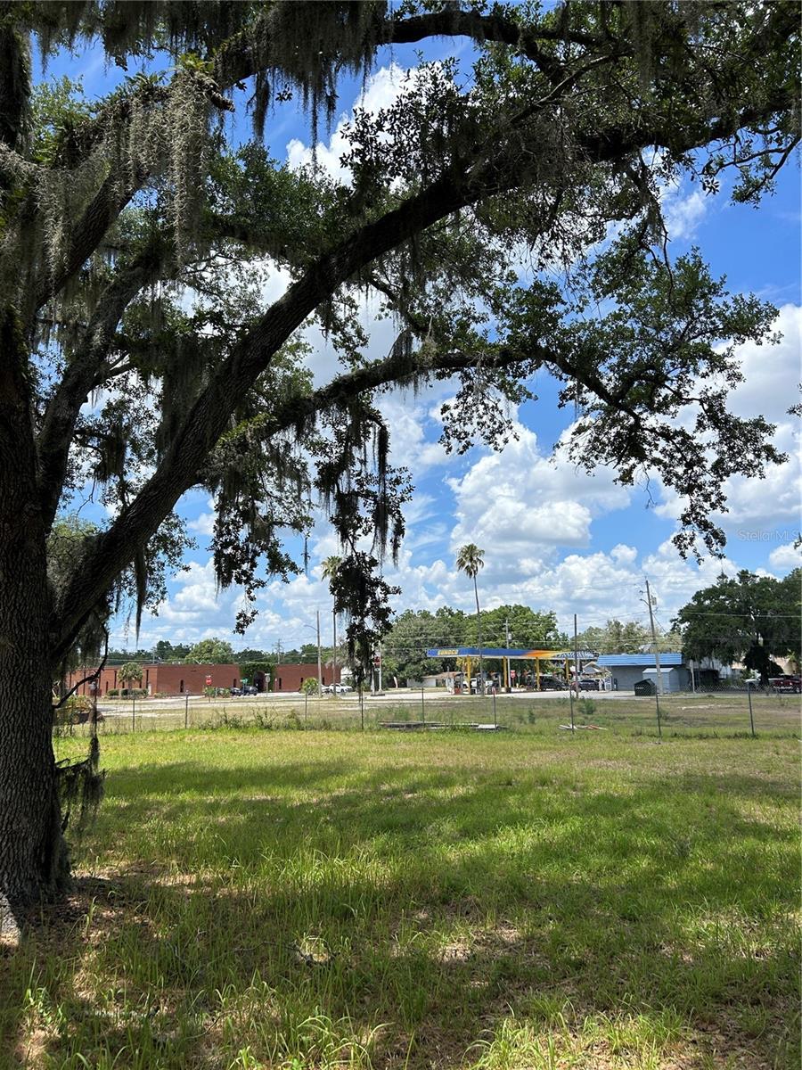 N WARNELL ST, PLANT CITY, FL, 33563