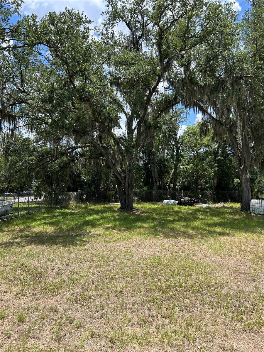 N WARNELL ST, PLANT CITY, FL, 33563