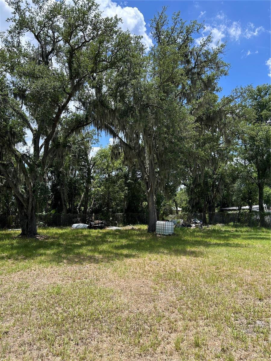 N WARNELL ST, PLANT CITY, FL, 33563