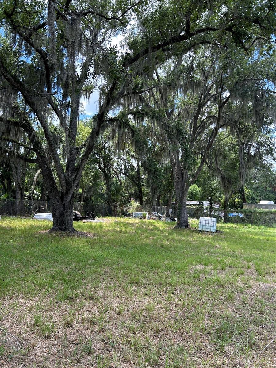 N WARNELL ST, PLANT CITY, FL, 33563
