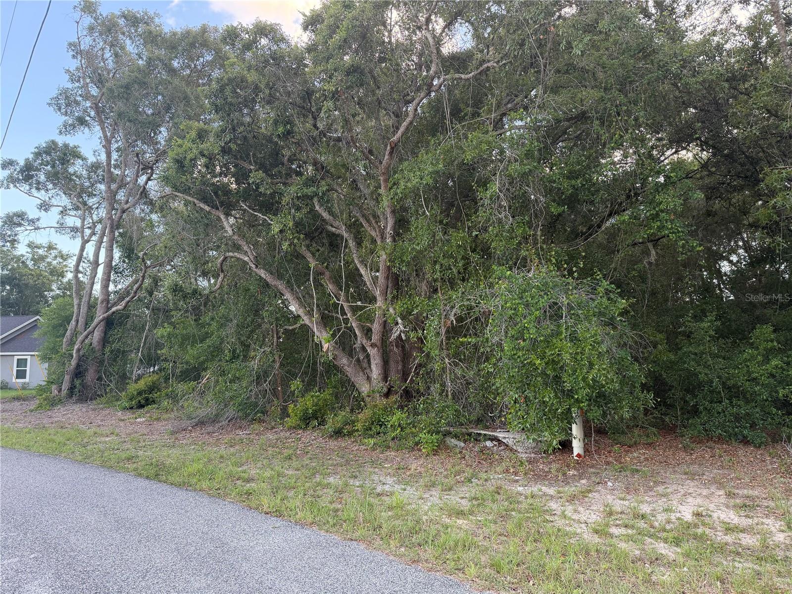 LOT 4, OCALA, FL, 34473