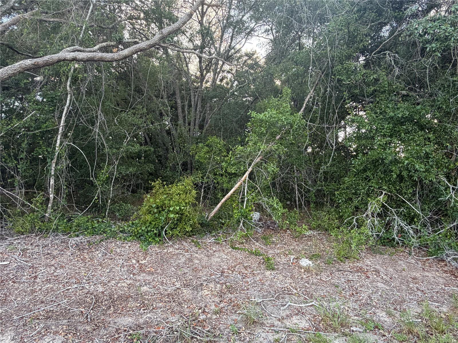 LOT 4, OCALA, FL, 34473