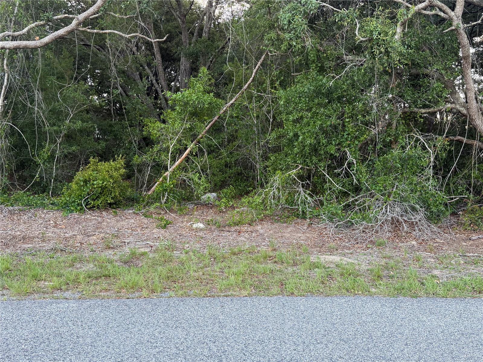 LOT 4, OCALA, FL, 34473