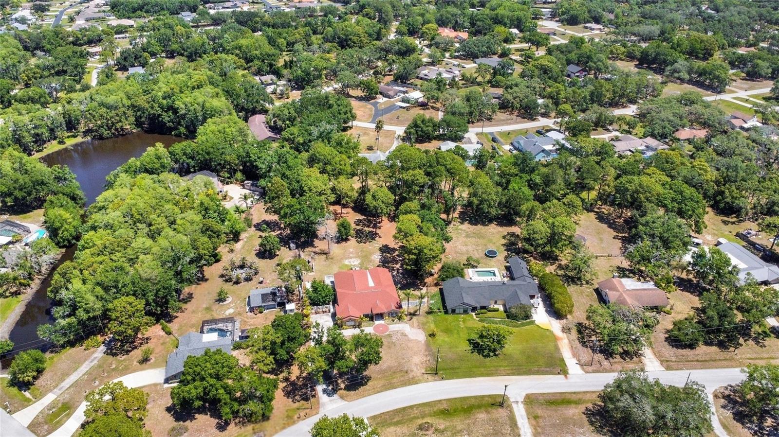 6341 GOVERNORS DR, NEW PORT RICHEY, FL, 34655