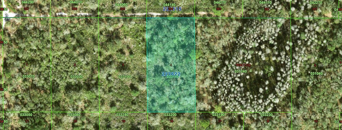 INACCESSIBLE TRACT, KATHLEEN, FL, 33849