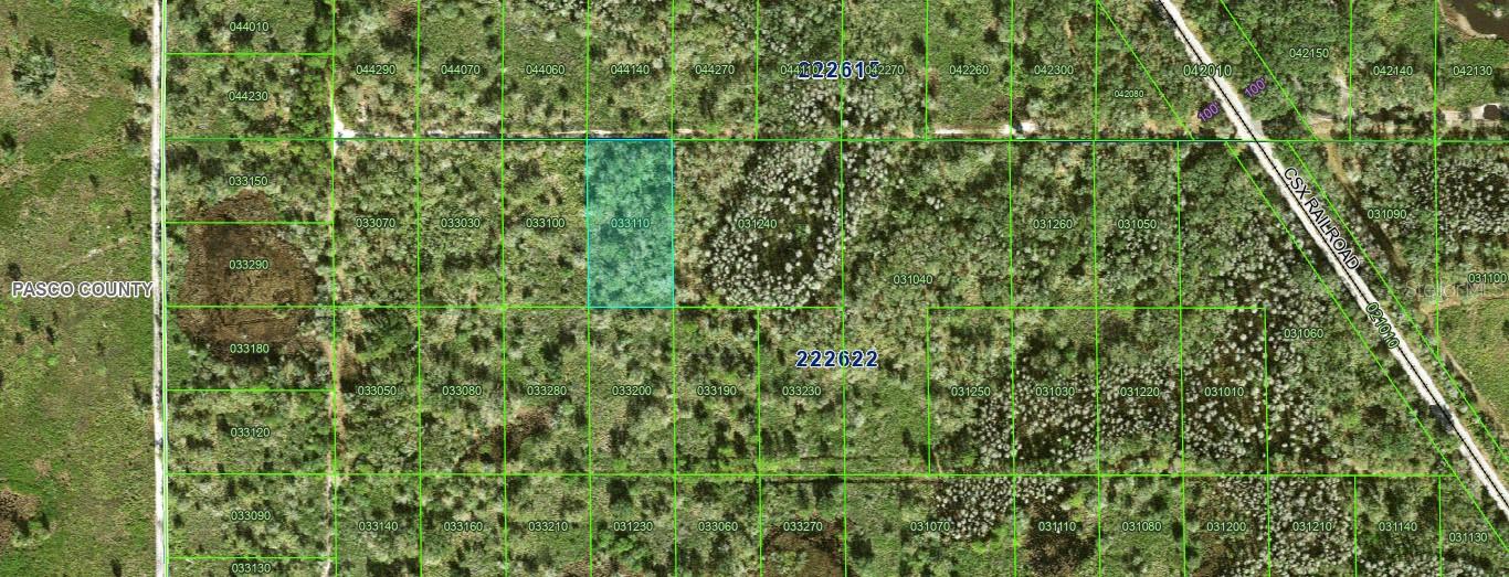 INACCESSIBLE TRACT, KATHLEEN, FL, 33849