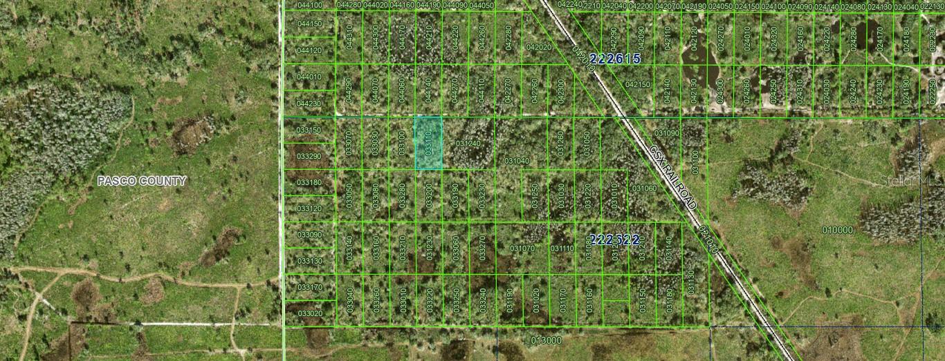 INACCESSIBLE TRACT, KATHLEEN, FL, 33849
