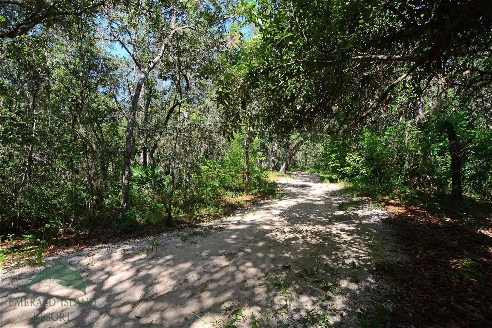 8610 SUNRISE KEY DR, KISSIMMEE, FL, 34747
