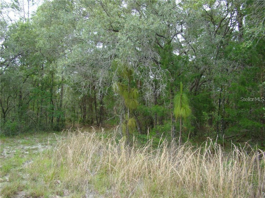 0 GOLIATH CT, WEEKI WACHEE, FL, 34614