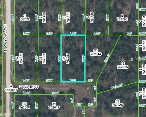 0 GOLIATH CT, WEEKI WACHEE, FL, 34614