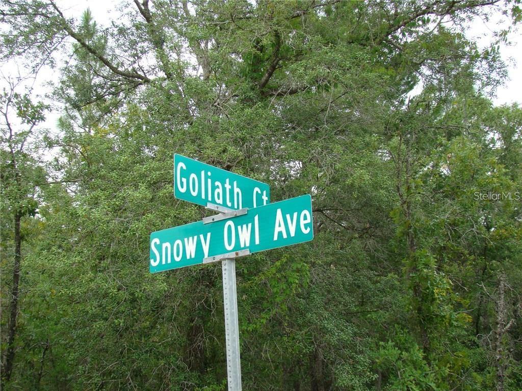 0 GOLIATH CT, WEEKI WACHEE, FL, 34614
