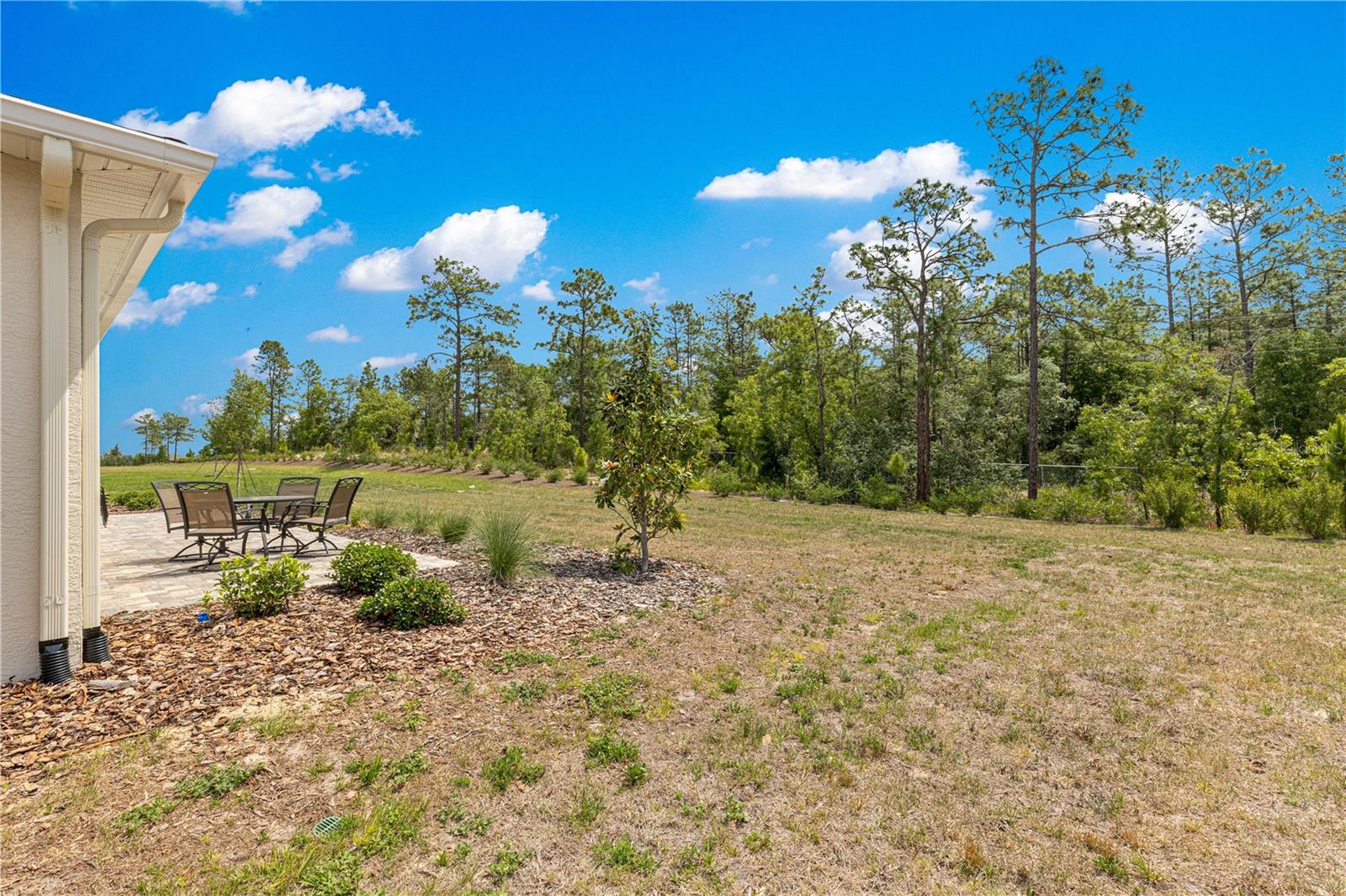 10050 SW 106TH CIR, OCALA, FL, 34481