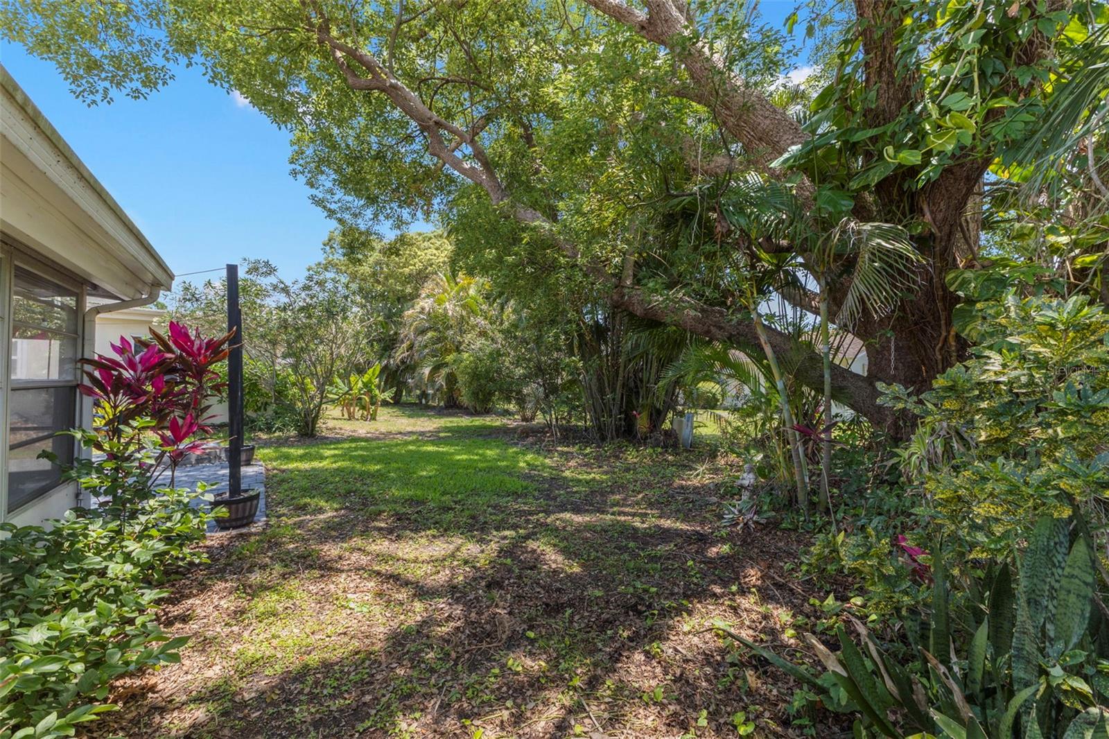 2954 CURLING CT, PALM HARBOR, FL, 34684