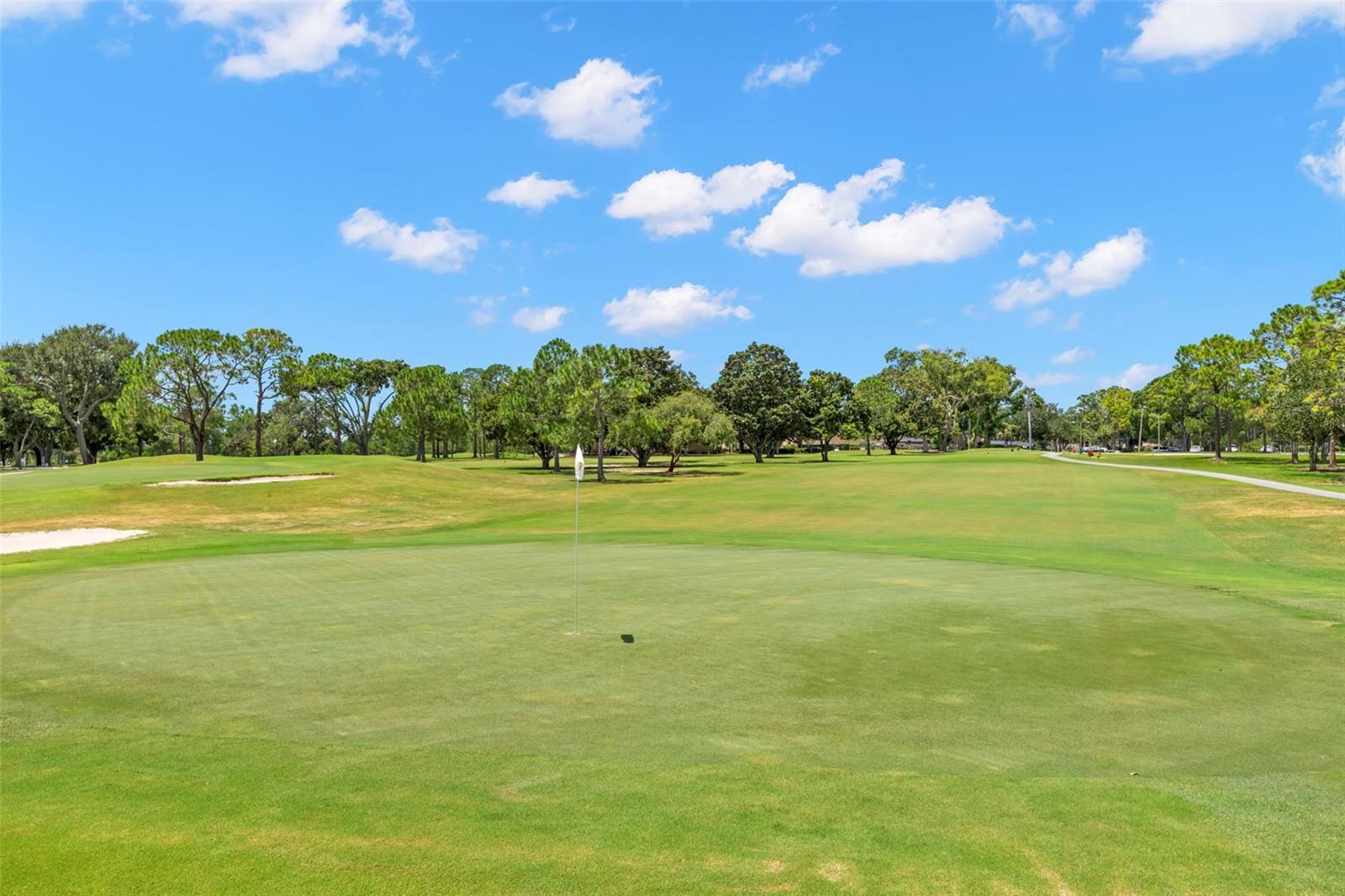 2954 CURLING CT, PALM HARBOR, FL, 34684